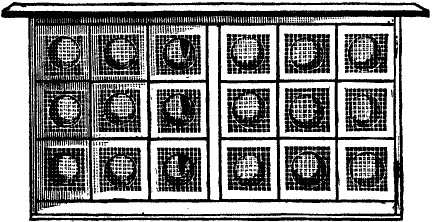 Doolittle Method Queen Nursery