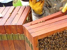 Huber leaf hive