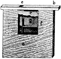 Doolittle Method Division board feeder